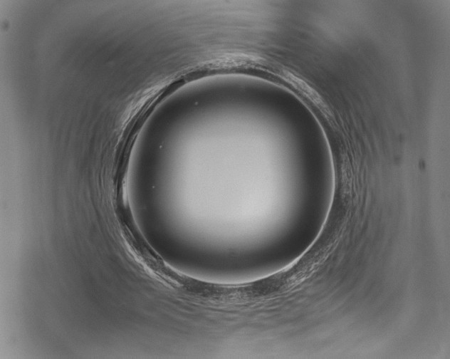 X0000069390485200605121215