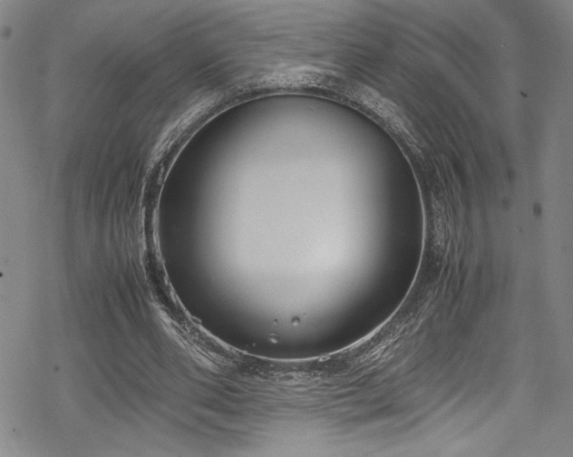 X0000069390486200605121215