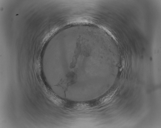 X0000069390487200605121215