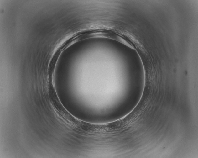 X0000069390488200605121215