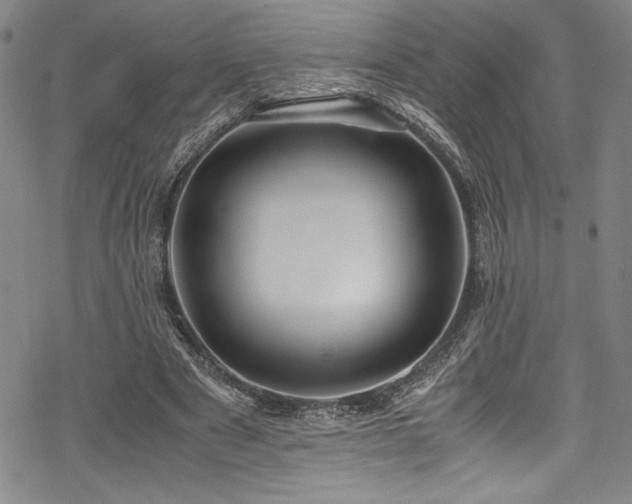 X0000069390489200605121215