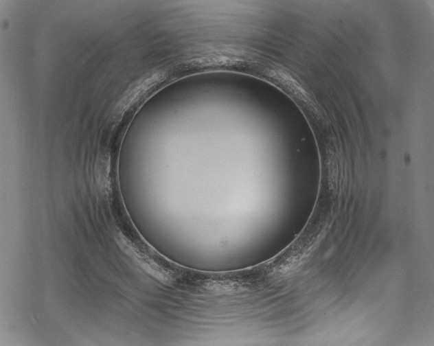 X0000069390490200605121215