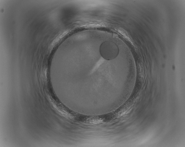 X0000069390491200605121215