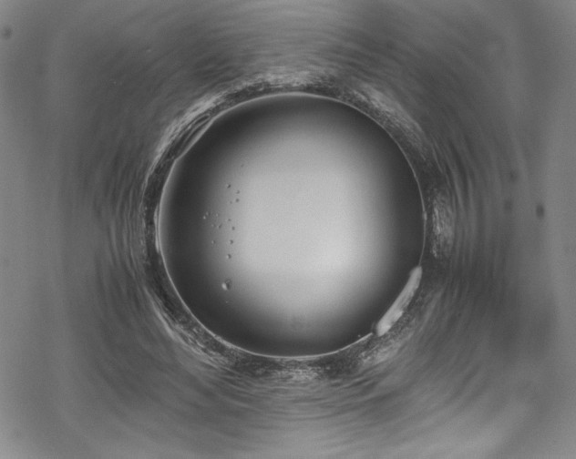 X0000069390492200605121215