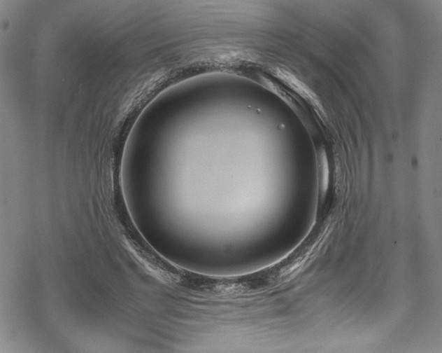 X0000069390493200605121215