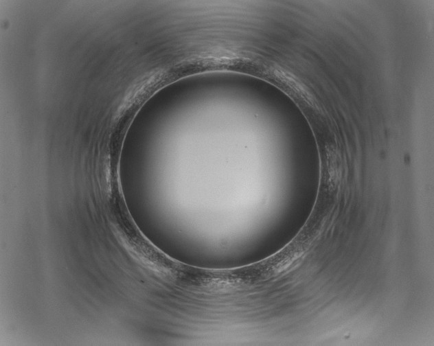 X0000069390494200605121215