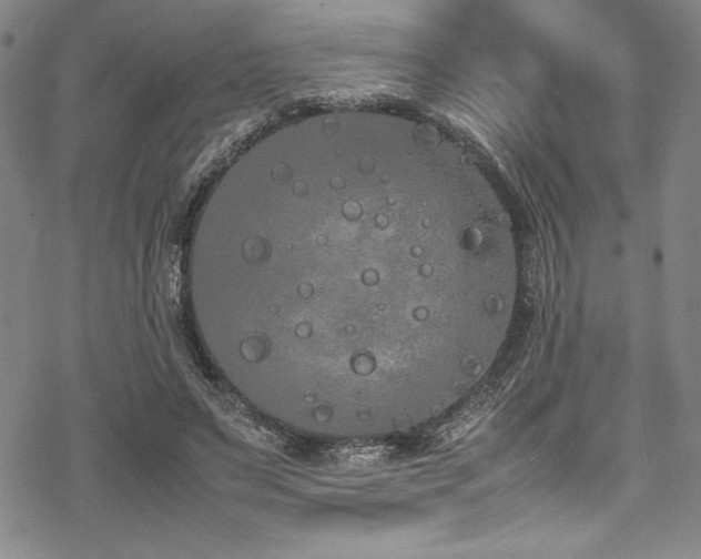 X0000069390495200605121215