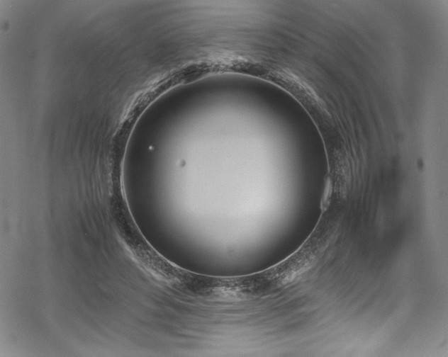 X0000069390496200605121215