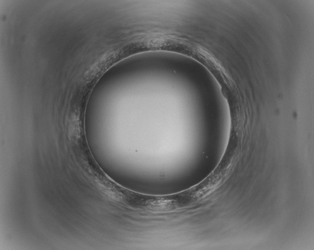 X0000069390497200605121215