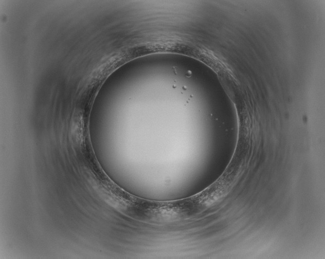 X0000069390498200605121215