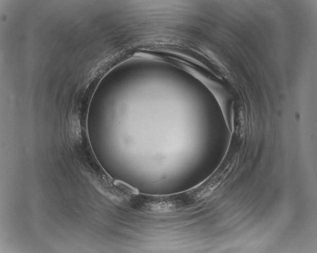 X0000069390500200605121215