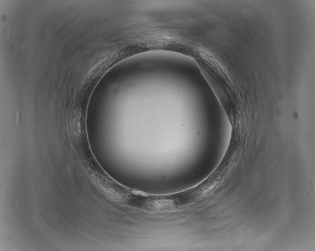 X0000069390501200605121215