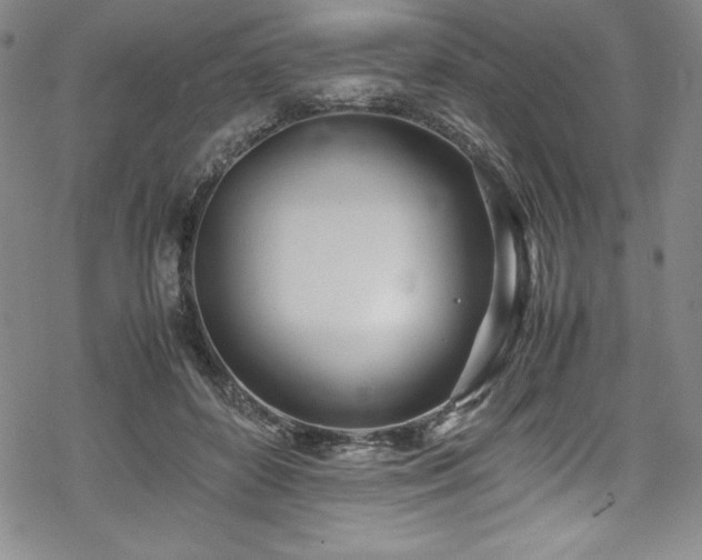 X0000069390504200605121214