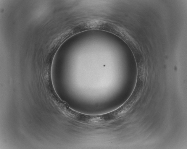 X0000069390505200605121214