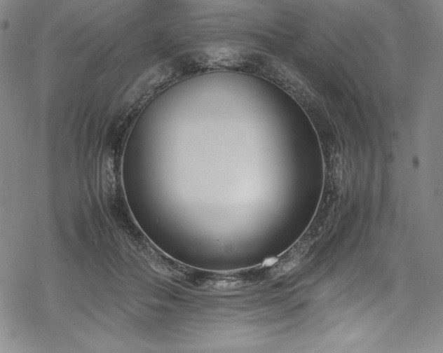 X0000069390506200605121214