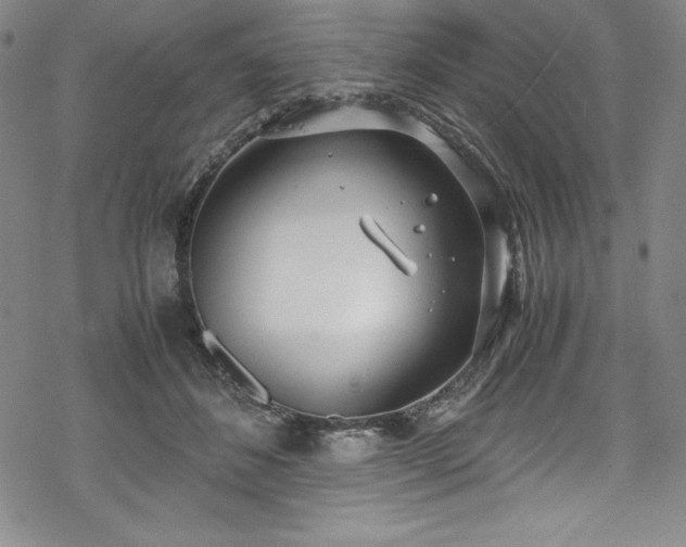 X0000069390508200605121214