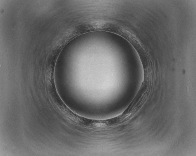 X0000069390509200605121214