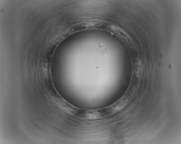 X0000069390510200605121214