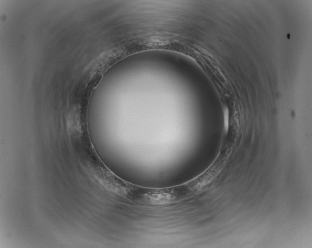 X0000069390512200605121214