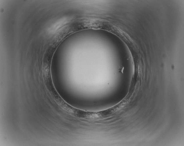 X0000069390513200605121214