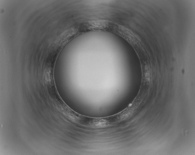 X0000069390514200605121214