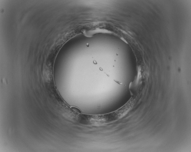 X0000069390515200605121214