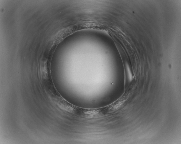 X0000069390516200605121214