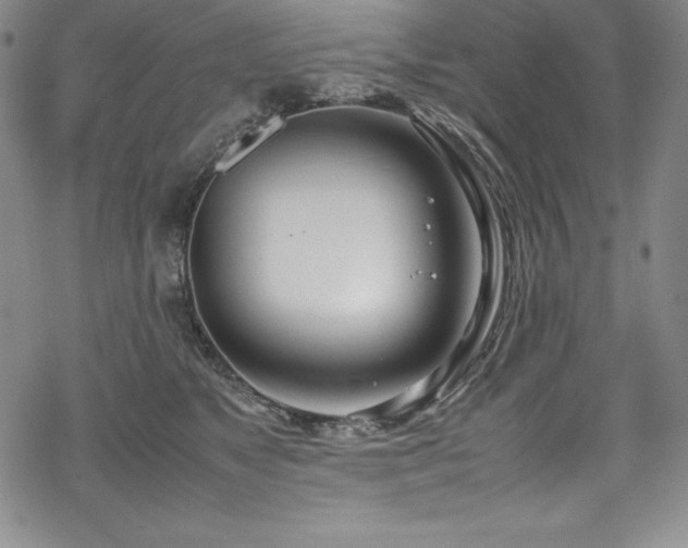 X0000069390517200605121214