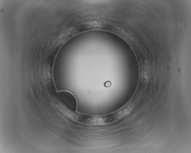 X0000069390518200605121214