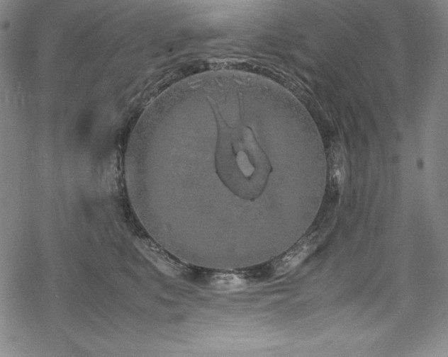 X0000069390519200605121214