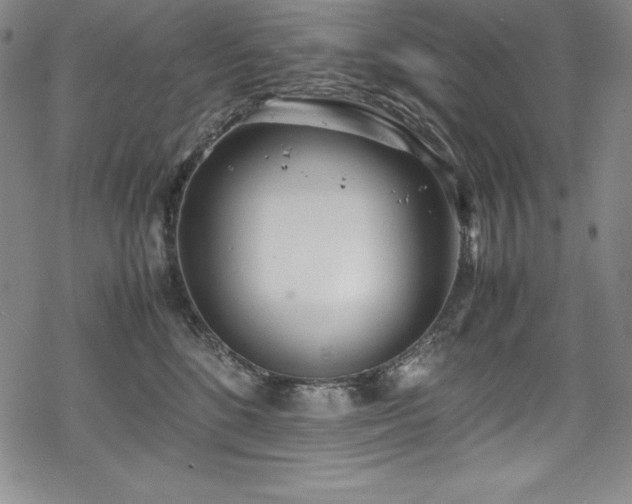 X0000069390520200605121214