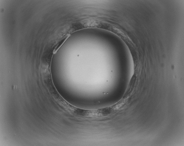 X0000069390521200605121214