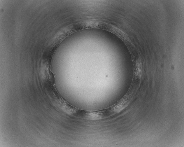 X0000069390522200605121214