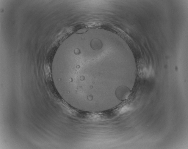 X0000069390523200605121214