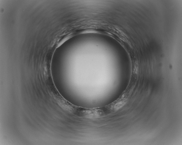 X0000069390524200605121214