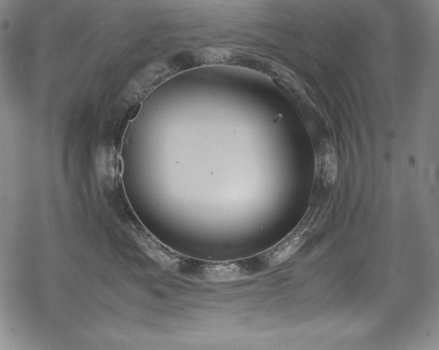 X0000069390525200605121214