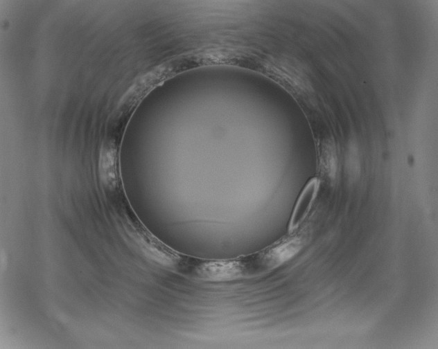 X0000069390526200605121214