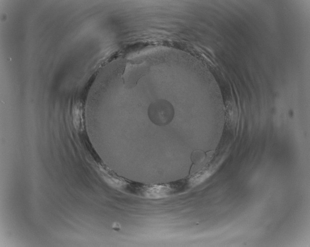 X0000069390527200605121214