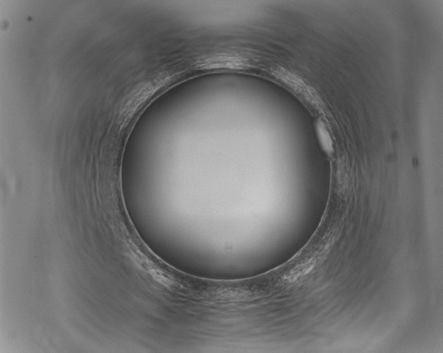 X0000069390529200605121213