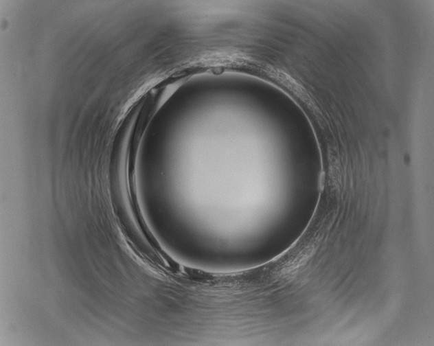 X0000069390530200605121213