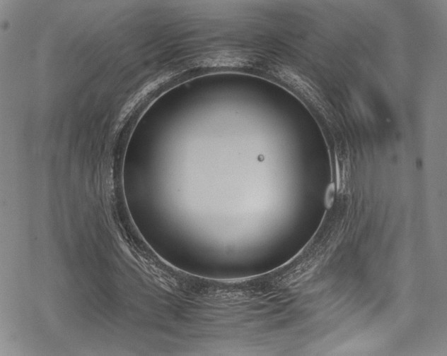 X0000069390531200605121213