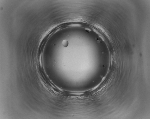 X0000069390532200605121213