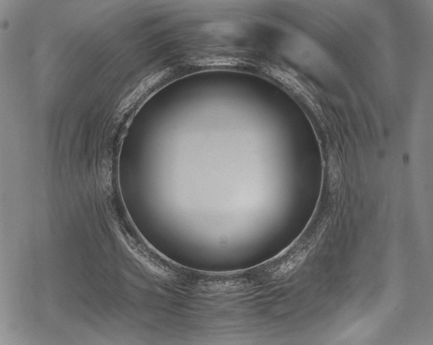 X0000069390533200605121213