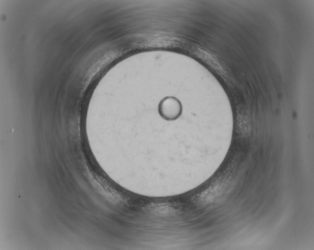 X0000069390534200605121213