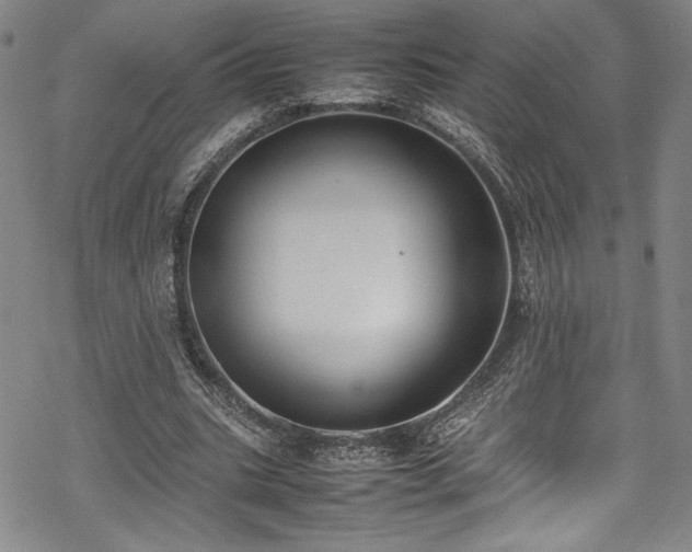 X0000069390535200605121213