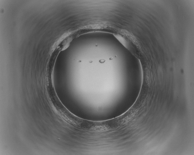 X0000069390536200605121213