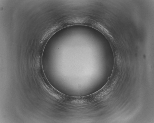 X0000069390537200605121213