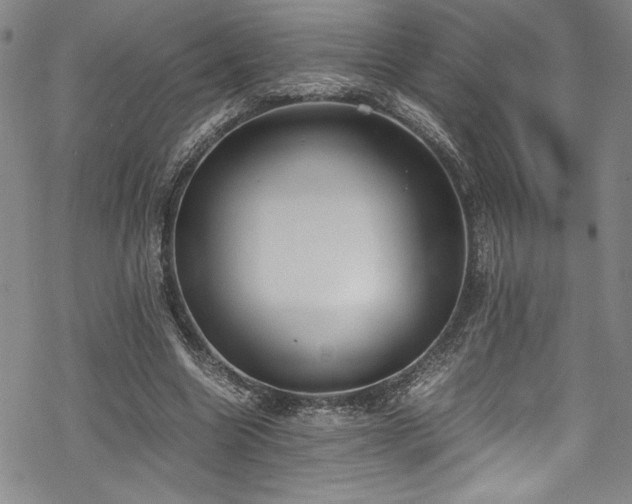 X0000069390538200605121213