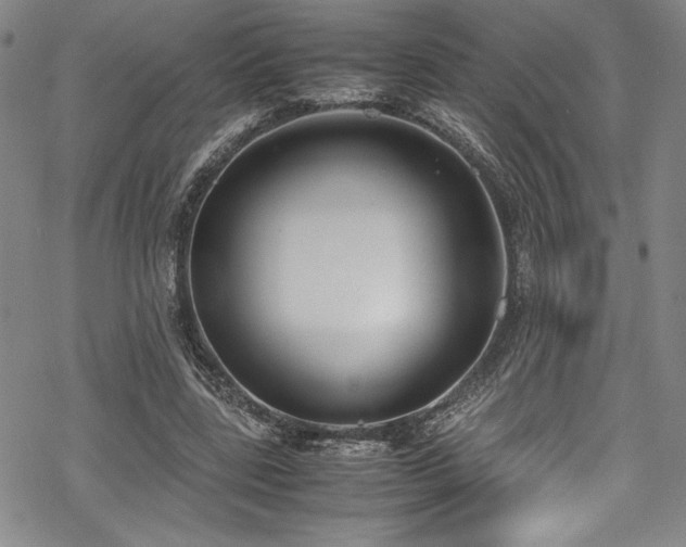 X0000069390539200605121213