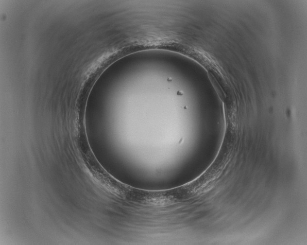 X0000069390540200605121213